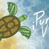 Tortuga